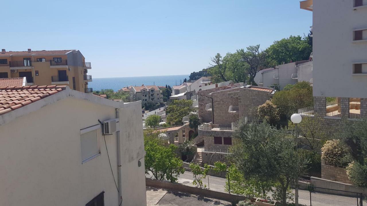 Apartmani Irena Petrovac Номер фото